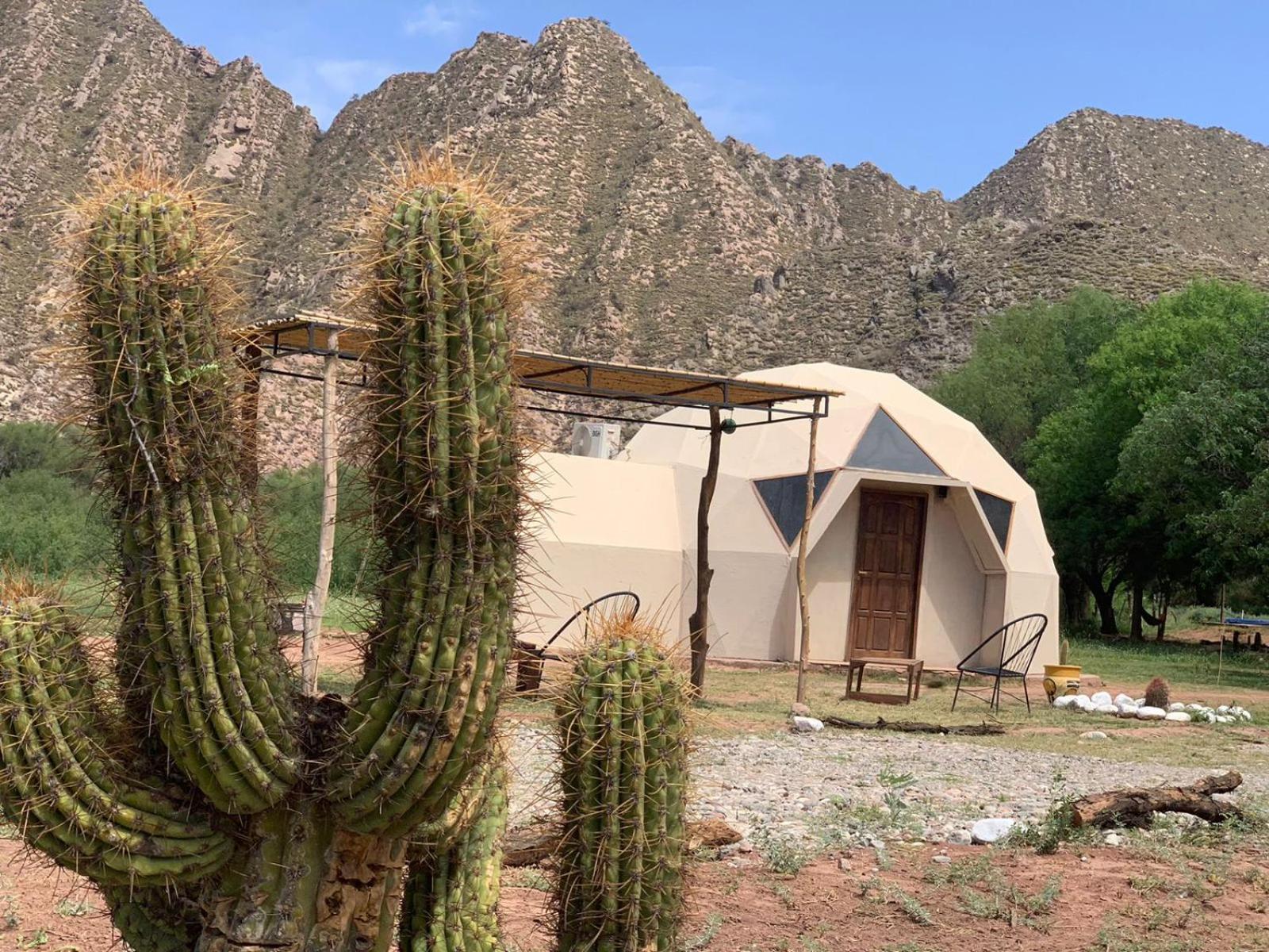 Hotel Hacienda Casa Blanca تينوغاستا المظهر الخارجي الصورة