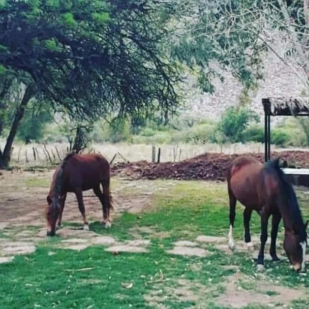 Hotel Hacienda Casa Blanca تينوغاستا المظهر الخارجي الصورة